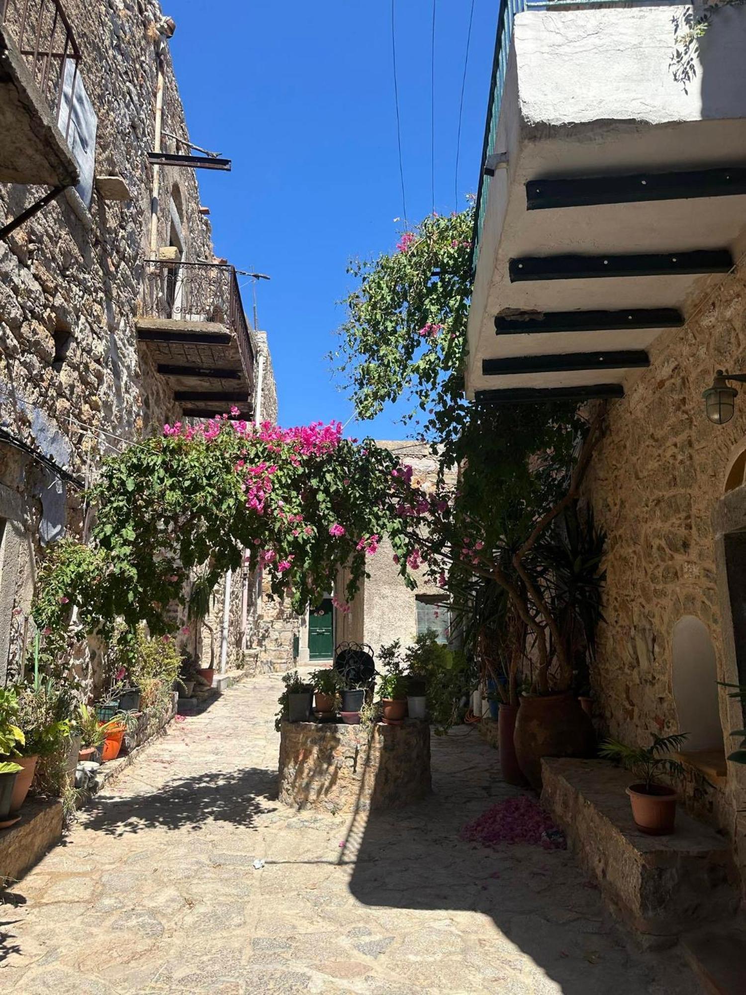 Apartment Vlychos Olympi