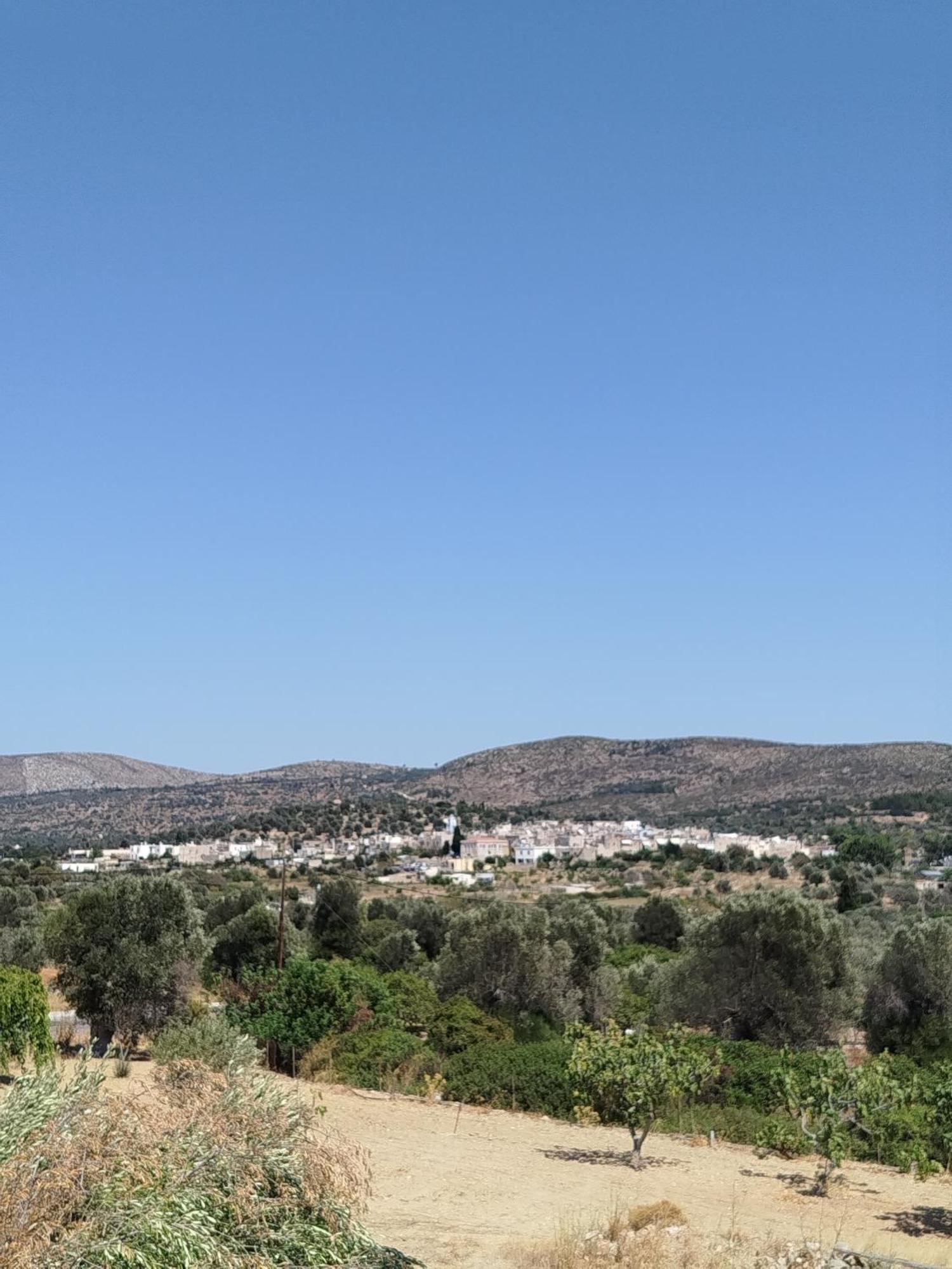 Vlychos Apartment Olympi